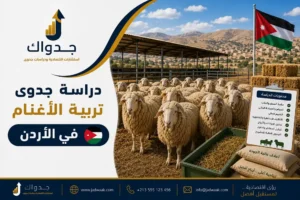 دراسة جدوى تربية الأغنام في الأردن — لماذا هذا المشروع مربح؟