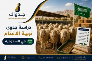 دراسة جدوى تربية الأغنام في السعودية